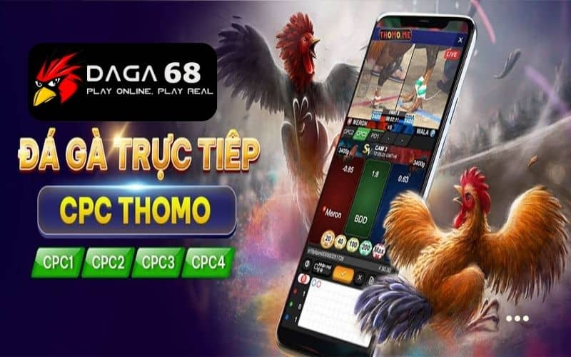 Đá gà SV388 cung cấp đầy đủ loại hình đá gà Đá gà SV388 cung cấp đầy đủ loại hình đá gà