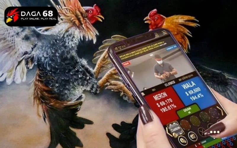 Đá gà SV388 cung cấp hàng trăm trận đấu mỗi ngày Đá gà SV388 cung cấp hàng trăm trận đấu mỗi ngày