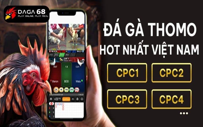 Đá gà SV388 là sảnh chơi nơi người chơi đặt cược vào các trận gà Đá gà SV388 là sảnh chơi nơi người chơi đặt cược vào các trận gà