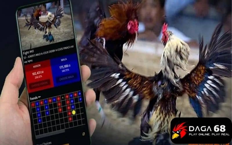 Người chơi có thể vừa xem vừa đặt cược tại đá gà SV388 Người chơi có thể vừa xem vừa đặt cược tại đá gà SV388
