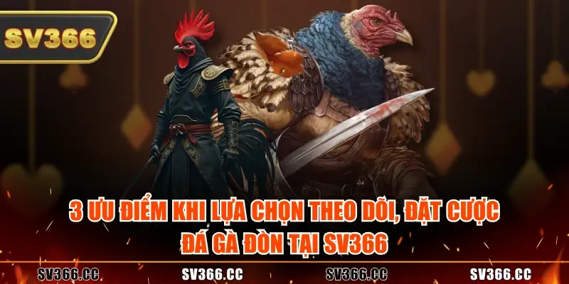 3 ưu điểm khi lựa chọn theo dõi, đặt cược đá gà đòn tại SV366 3 ưu điểm khi lựa chọn theo dõi, đặt cược đá gà đòn tại SV366