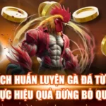Cách Huấn Luyện Gà Đá Từ Nhỏ