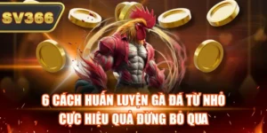 Cách Huấn Luyện Gà Đá Từ Nhỏ