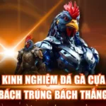 Kinh Nghiệm Đá Gà Cựa Dao Hay