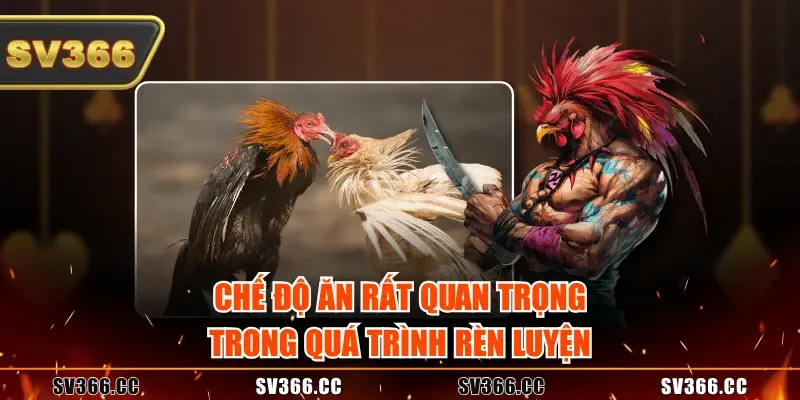 Chế độ ăn rất quan trọng trong quá trình rèn luyện Chế độ ăn rất quan trọng trong quá trình rèn luyện
