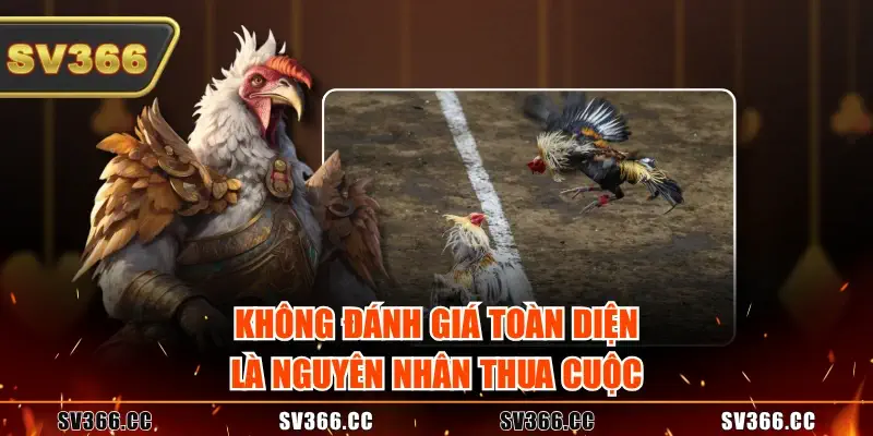 Không đánh giá toàn diện là nguyên nhân thua cuộc Không đánh giá toàn diện là nguyên nhân thua cuộc
