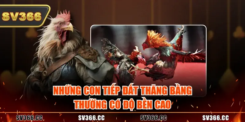 Những con tiếp đất thăng bằng thường có độ bền cao Những con tiếp đất thăng bằng thường có độ bền cao