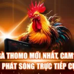 Sành Gà Thomo Mới Nhẩt, Cam1 Cam2 Bắt Đầu Phát Sóng Trực Tiếp