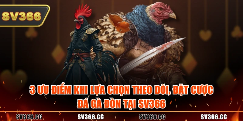 3 ưu điểm khi lựa chọn theo dõi, đặt cược đá gà đòn tại SV366 3 ưu điểm khi lựa chọn theo dõi, đặt cược đá gà đòn tại SV366