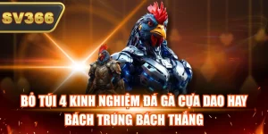 Bỏ Túi 4 Kinh Nghiệm Đá Gà Cựa Dao Hay Bách Trúng Bách Thắng