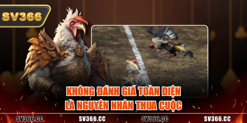 Không đánh giá toàn diện là nguyên nhân thua cuộc Không đánh giá toàn diện là nguyên nhân thua cuộc
