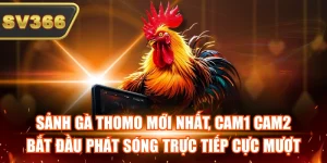 Sảnh Gà Thomo Mới Nhất - Bắt Đầu Phát Sóng Trực Tiếp Cực Mượt