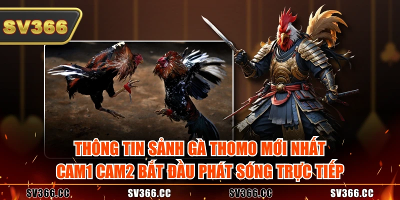 Thông tin Sảnh gà Thomo mới nhất, Cam1 Cam2 bắt đầu phát sóng trực tiếp Thông tin Sảnh gà Thomo mới nhất, Cam1 Cam2 bắt đầu phát sóng trực tiếp