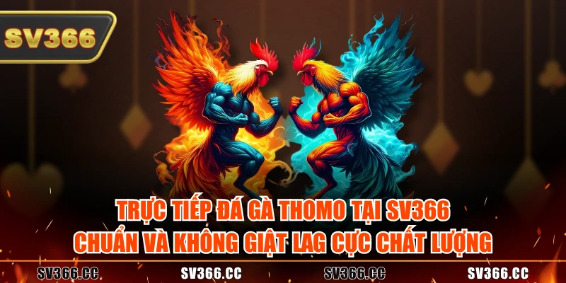 Trực tiếp đá gà Thomo tại SV366 chuẩn và không giật lag cực chất lượng