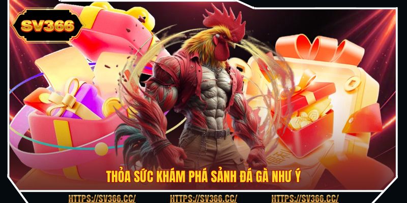 Thỏa sức khám phá sảnh đá gà như ý